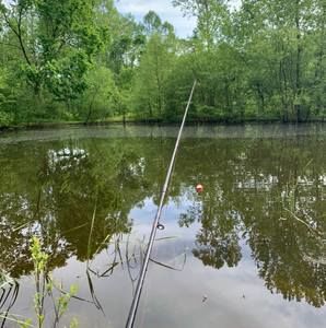 Meet your Posher, Chad